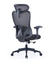 ARTIQUE Ergonomic High Back Office Chair