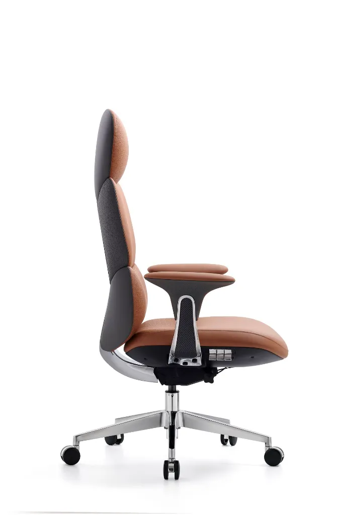 无题目录 02103.webp