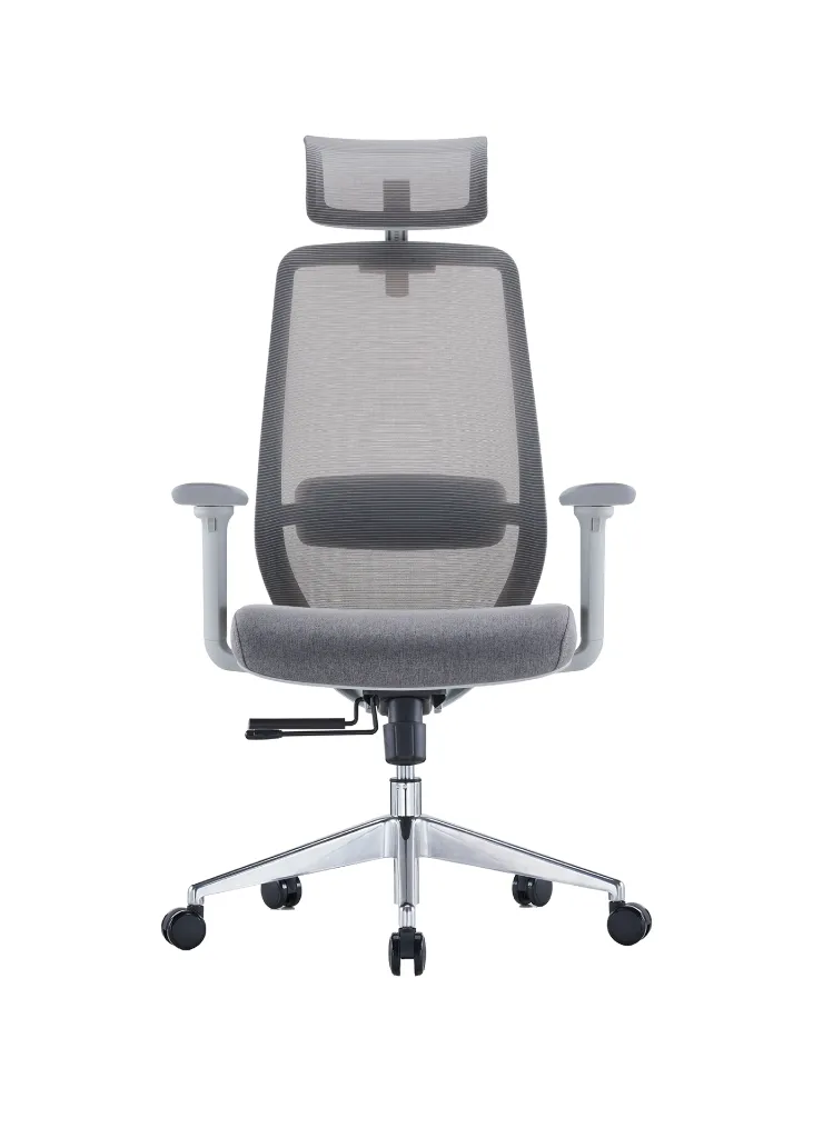 LUX Ergonomic High Back Office Chair