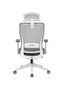 HARDY Ergonomic High Back Office Chair