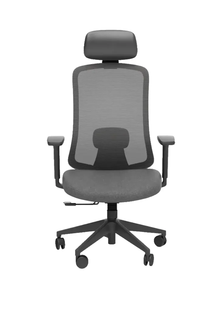 [H0001-A] ERGO Ergonomic High Back Office Chair (1).webp