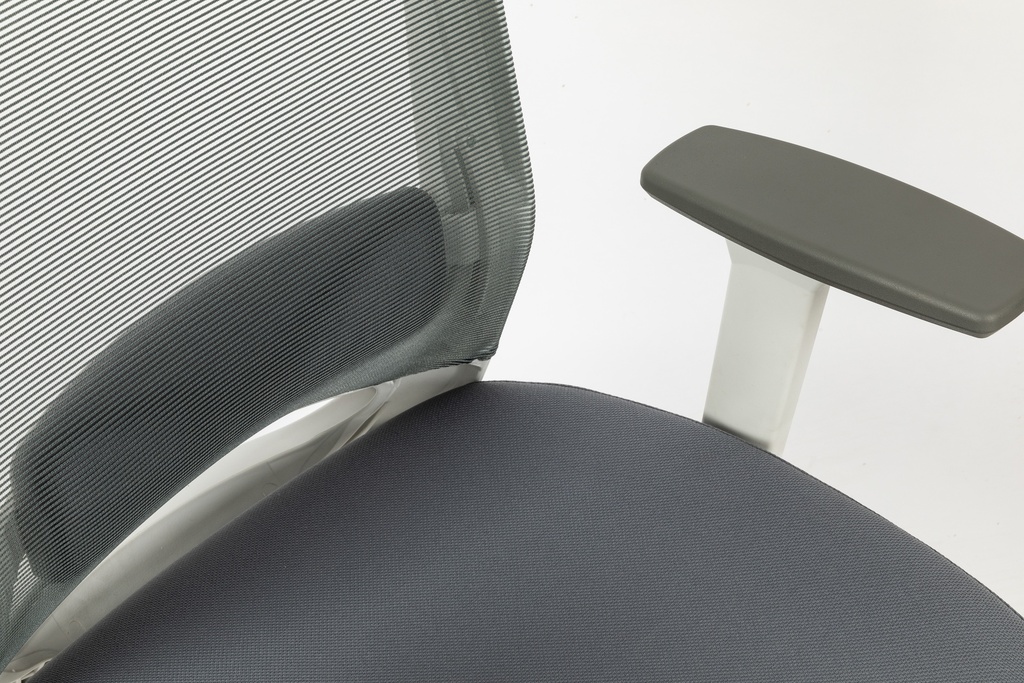 HARDY  Ergonomic Mid Back Office Chair