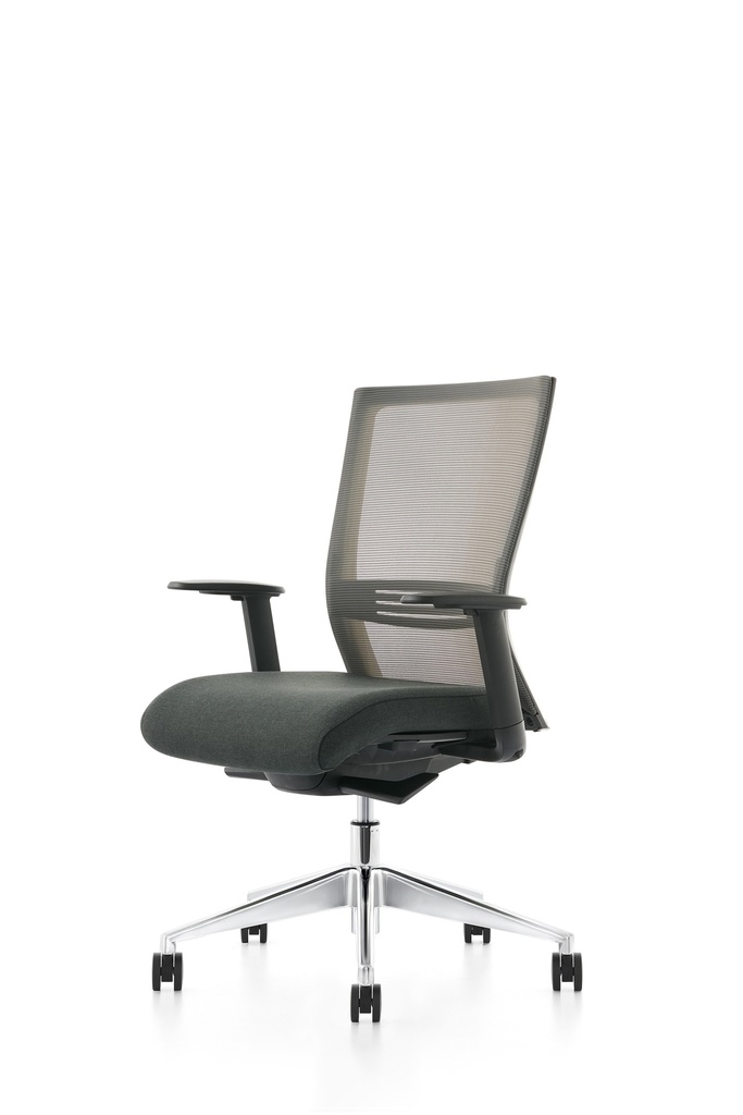 HILITE Ergonomic Task chair