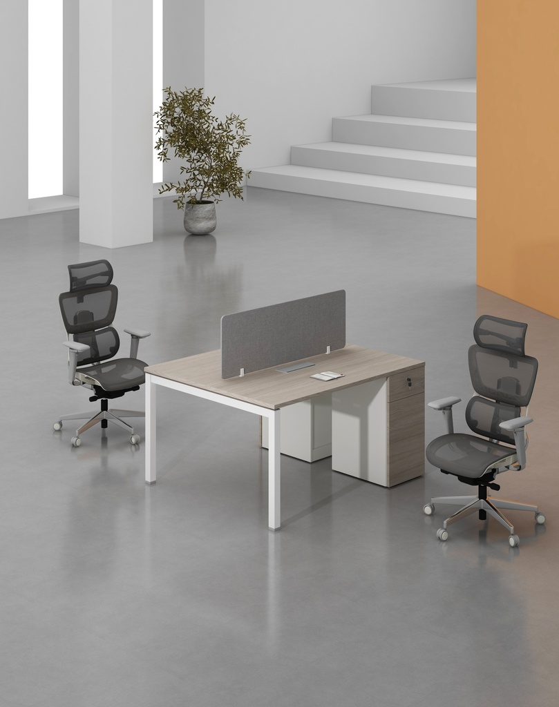 Base Series - Double Side WS (2pax) with Pedestal (1D+1F)