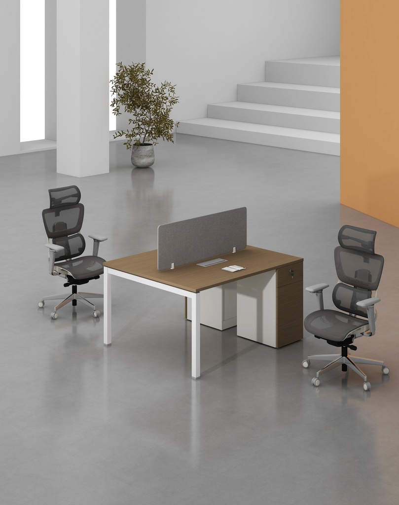 Base Series - Double Side WS (2pax) with Pedestal (1D+1F)