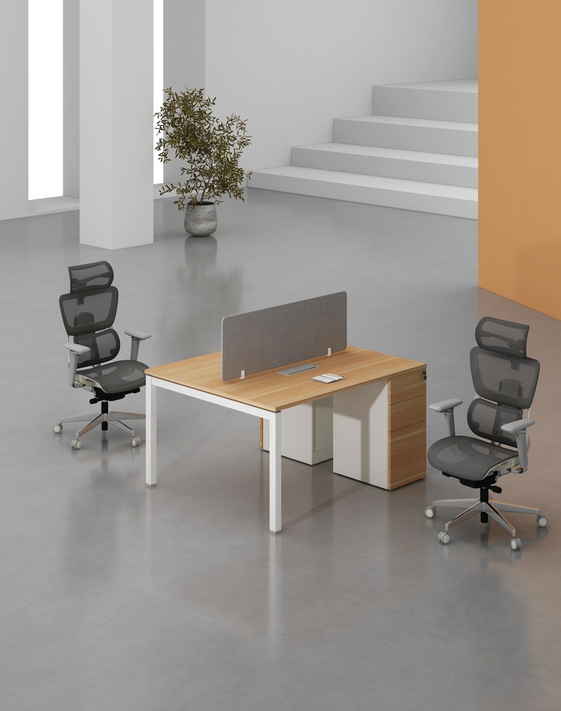 Base Series - Double Side WS (2pax) with 3D Pedestal