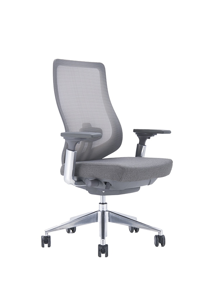 [CM03-GM] IVES Ergonomic Mid Back Mesh Chair