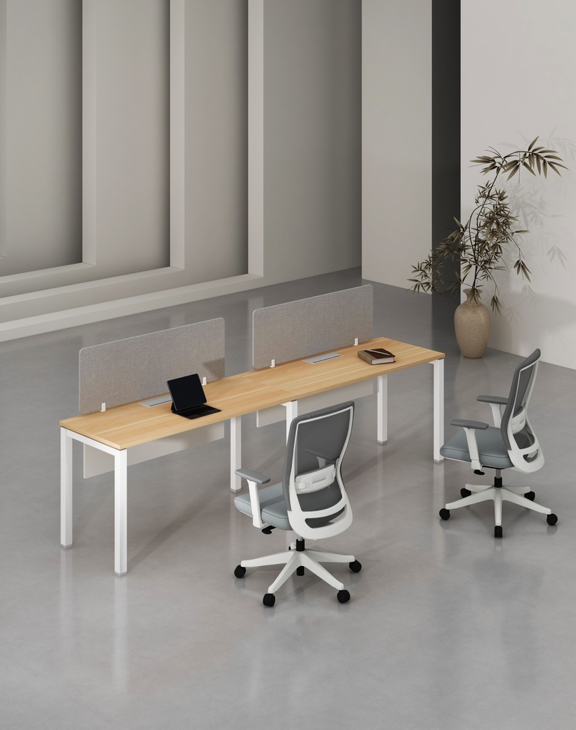 Base Series - Single Side WS (2pax) 