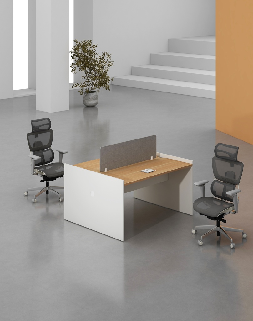 Feta Series - Double side workstation (Cluster of 2)