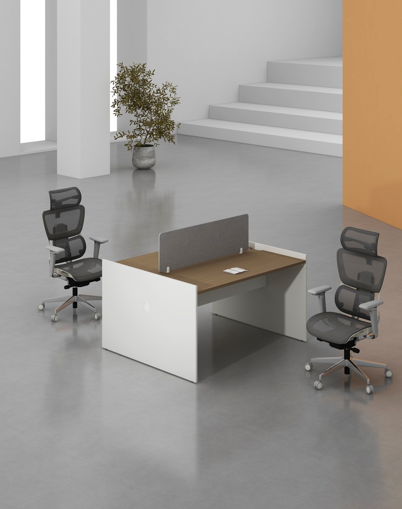 Feta Series - Double side workstation (Cluster of 2)