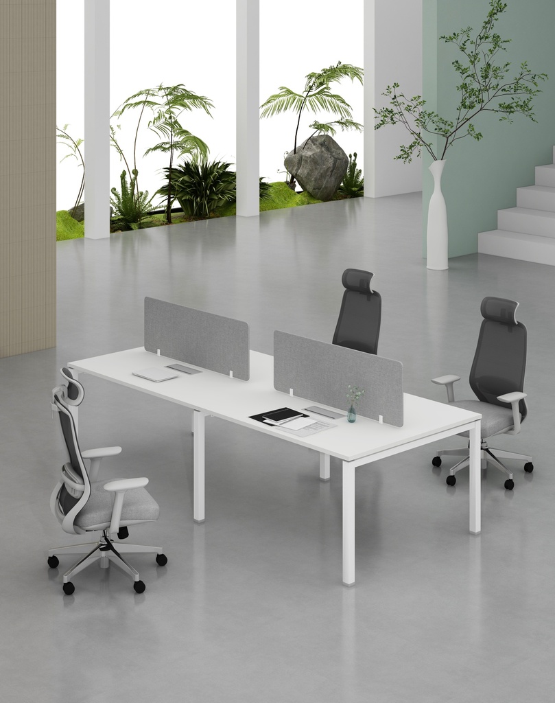 Base Series - Double Side WS (4pax) 