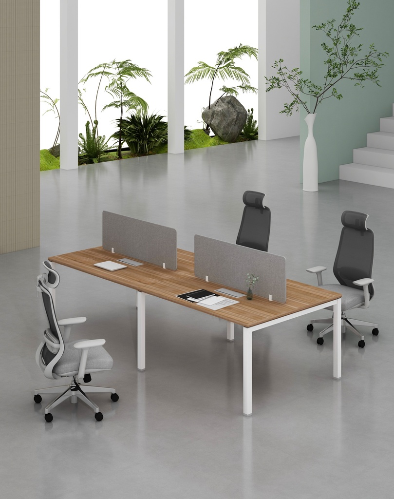 Base Series - Double Side WS (4pax) 