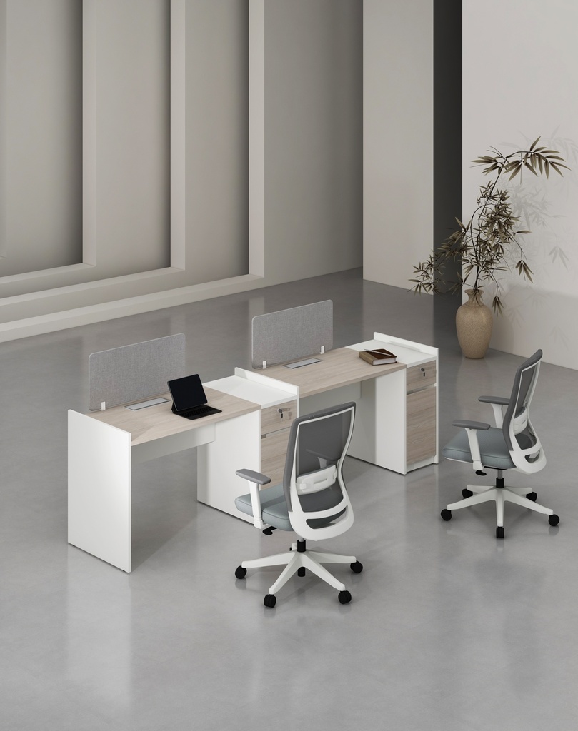 Feta Series - Single side workstation (Cluster of 2) with Pedestal having 1 drawer and 1 filing cabinet
