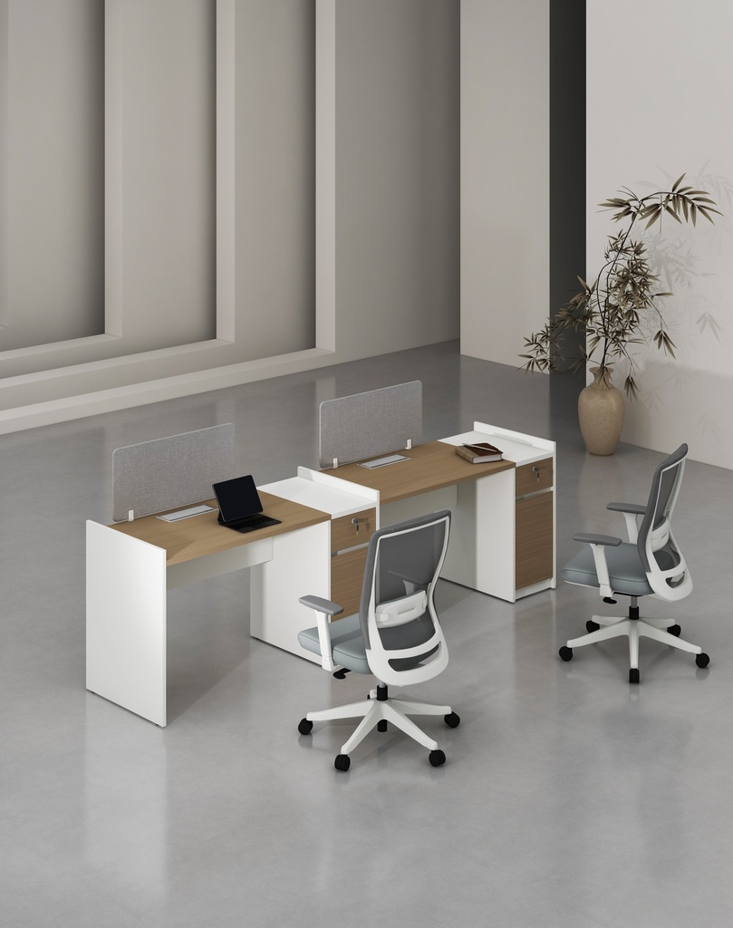 Feta Series - Single side workstation (Cluster of 2) with Pedestal having 1 drawer and 1 filing cabinet