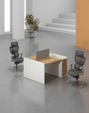Feta Series - Double side workstation (Cluster of 2) with Pedestal having 1 drawer and 1 filing cabinet