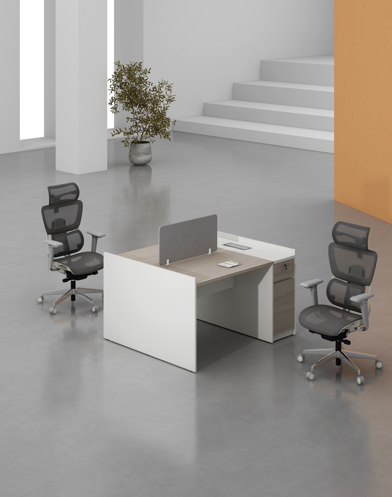 Feta Series - Double side workstation (Cluster of 2) with Pedestal having 1 drawer and 1 filing cabinet