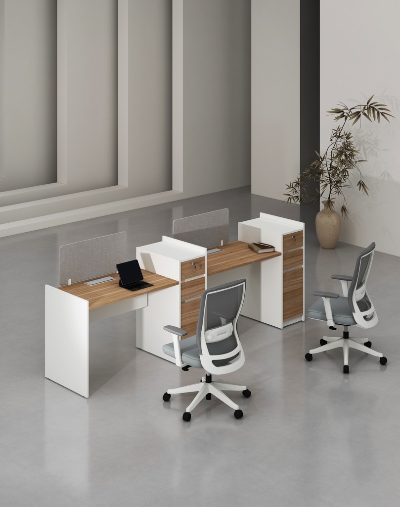 Feta Series - Single side workstation (Cluster of 2) with Pedestal having 2 drawers and 1 filing cabinet