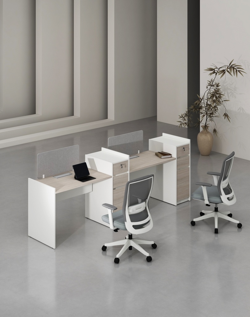 Feta Series - Single side workstation (Cluster of 2) with Pedestal having 2 drawers and 1 filing cabinet