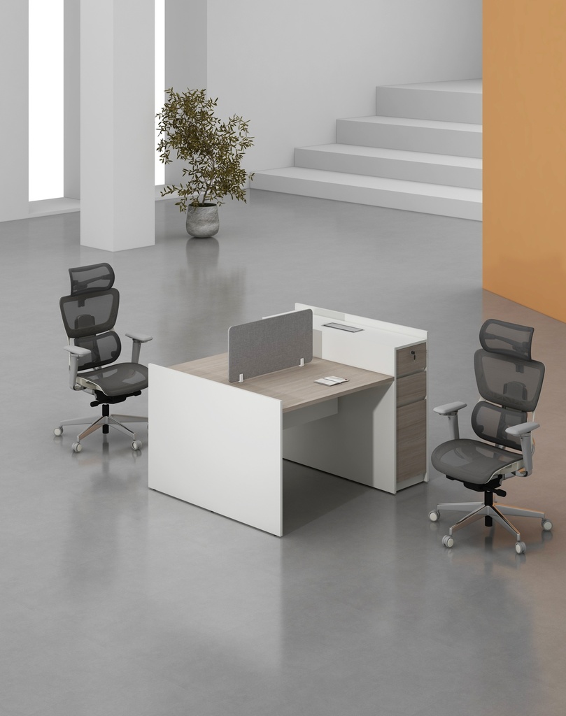 Feta Series - Double side workstation (Cluster of 2) with Pedestal having 2 drawers and 1 filing cabinet