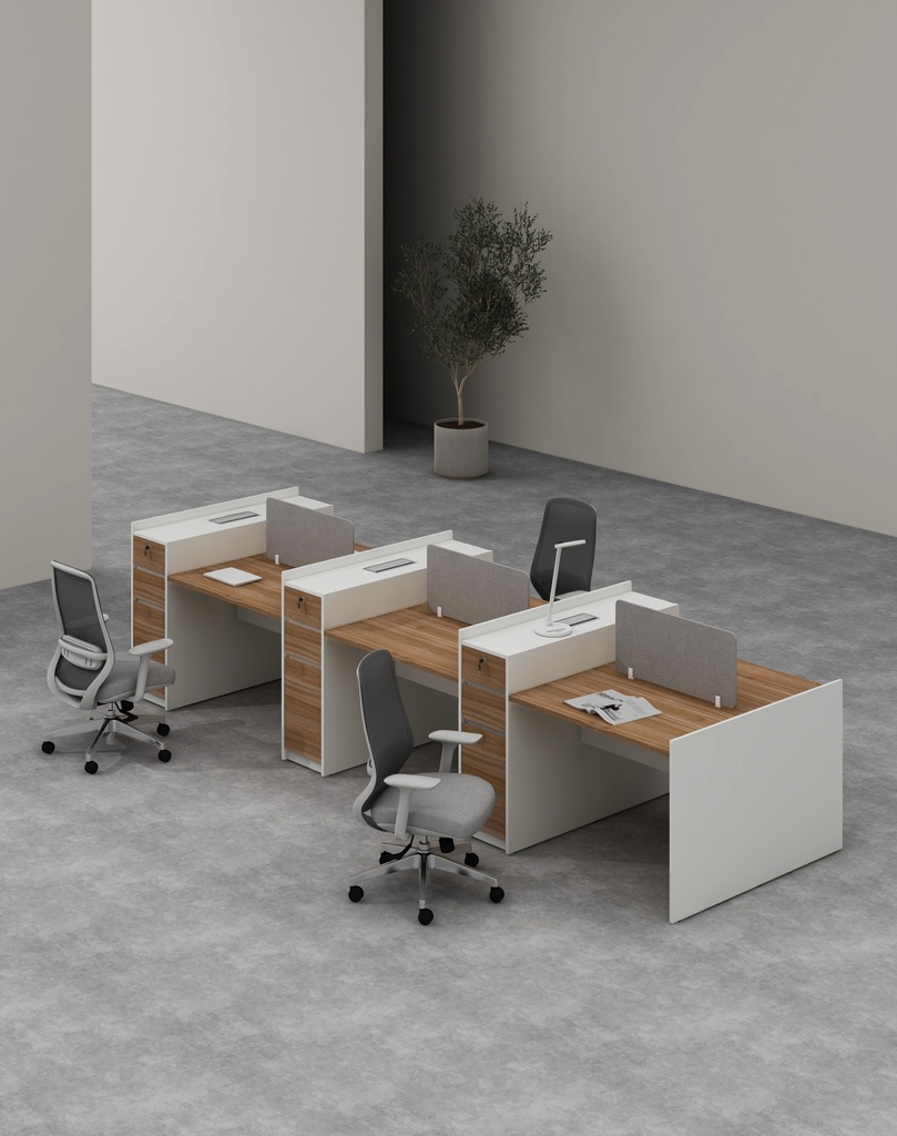 Feta Series - Double side workstation (Cluster of 6) with Pedestal having 2 drawers and 1 filing cabinet